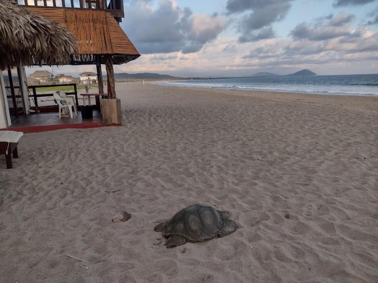 Cabanas Alta Mar Guayabas Eksteriør bilde